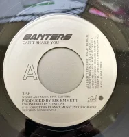 Can't Shake You