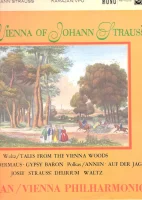 The Vienna Of Johann Strauss