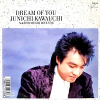 Dream Of You