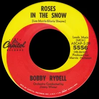 Roses In The Snow