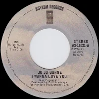 I Wanna Love You