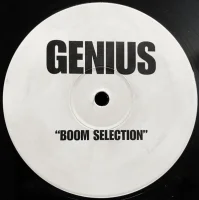 Boom Selection