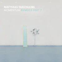 Momentum (Remixes Part 1)