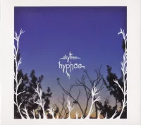 Hyphae