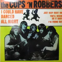 The Cops 'N Robbers