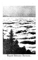 Beyond Unknown Horizons...