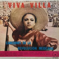 Viva Villa