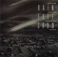 Rain Tree Crow