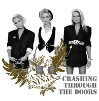 Crashing Through The Doors