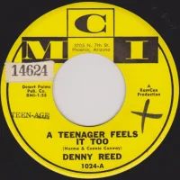 A Teenager Feels It Too / Hot Water