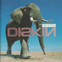 Diskin