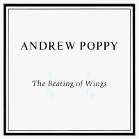 The Beating Of Wings