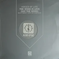 The Word Is Love (Say The Word)