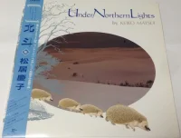 Under Northern Lights