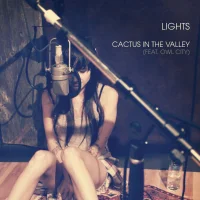 Cactus In The Valley