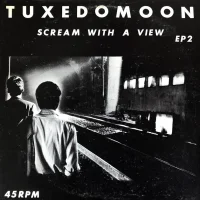 Scream With A View (EP2)