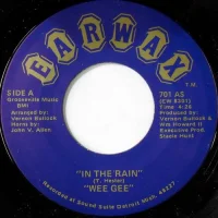 In The Rain / Problems
