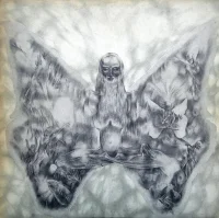 Ciclos