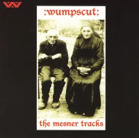 The Mesner Tracks