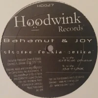 Electro-Funkin-Cution