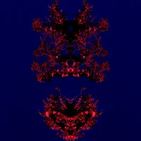Sarnathian Woodspells