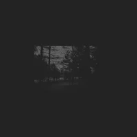 The Reminiscence
