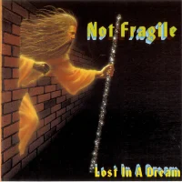 Lost In A Dream