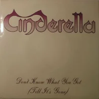 Don't Know What You Got (Till It's Gone)