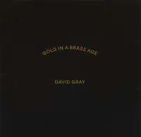 Gold In A Brass Age