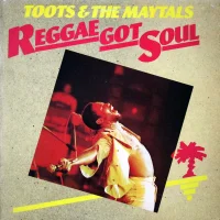 Reggae Got Soul