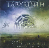 In The Vanishing Echoes Of Goodbye