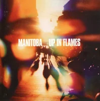 Up In Flames