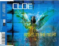 Angel In The Night