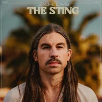 The Sting