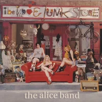 The Love Junk Store