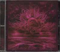 Garden Of Storms