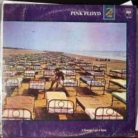 A Momentary Lapse Of Reason