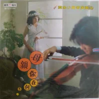 黃金小提琴演奏4 母親你在何方