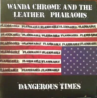 Dangerous Times