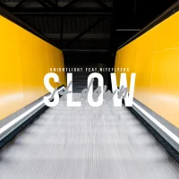 Slow It Down