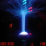 Lunatic Asylum