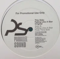 Falling Like A Star