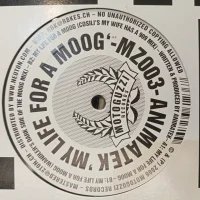 My Life For A Moog