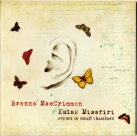 Kulak Misafiri (Events In Small Chambers)