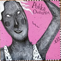 Pukka Orchestra