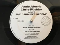 Summer Storm