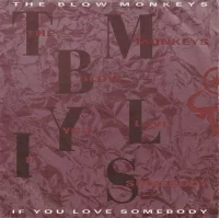 If You Love Somebody