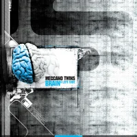 Brain: Left Side