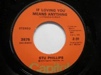 If Loving You Means Anything