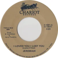 I Loved You I Lost You